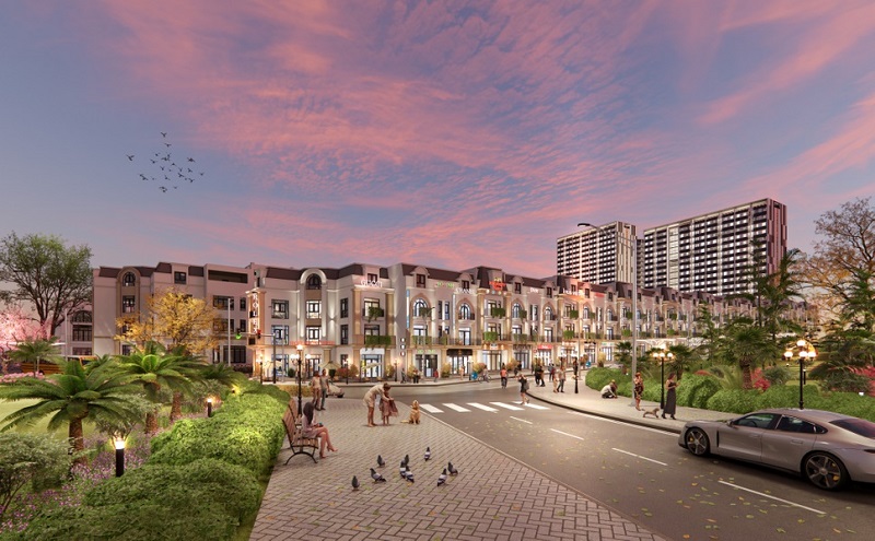 Dragon Complex Premium